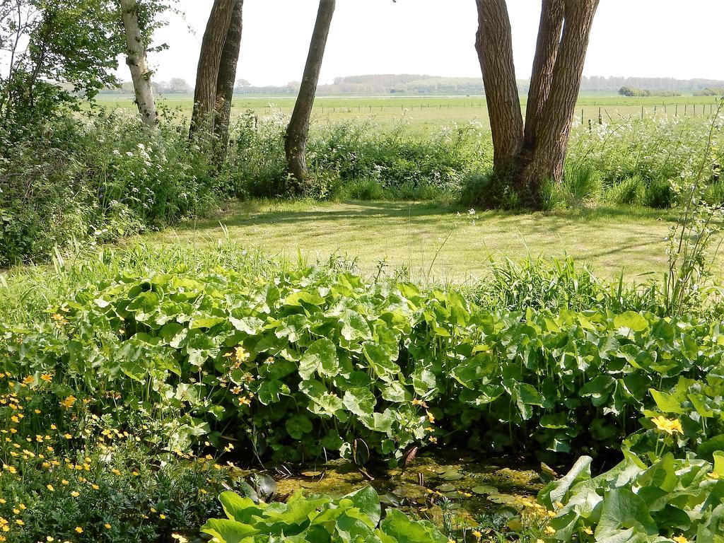 Gastenverblijf Oostdijk Goedereede Dış mekan fotoğraf